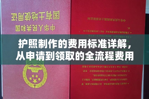 防城护照制作的费用标准详解，从申请到领取的全流程费用指南