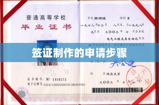 防城签证制作的申请步骤