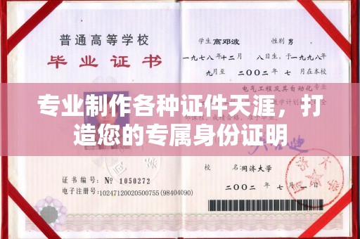 防城专业制作各种证件天涯，打造您的专属身份证明