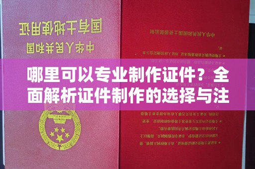 防城哪里可以专业制作证件？全面解析证件制作的选择与注意事项